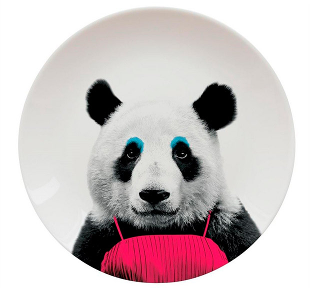 plato-panda_1
