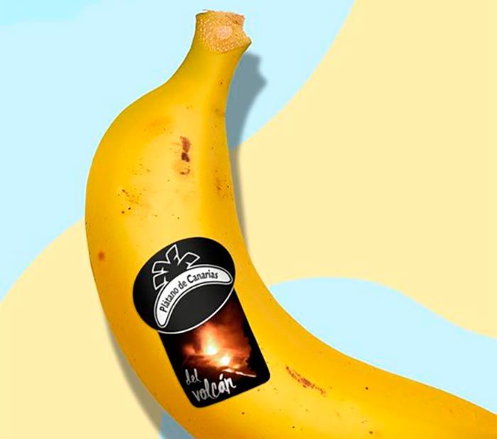 ‘Plátano del volcán’: una nueva etiqueta para identificar los plátanos de La Palma