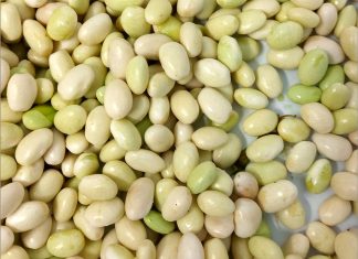 Temporada de pochas frescas: cuánto tiempo y cómo hay que cocinarlas