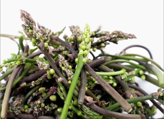 Esparraguines, el exclusivo ingrediente vegetal que triunfa en la alta cocina (y que también puedes conseguir para la tuya)